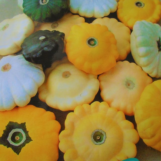 1024px 2020 05 20 Pumpkins (cucurbita), Trimingham, Norfolk (1)