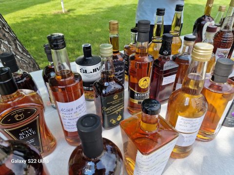 350115270 1624724518031848 3156341176159862452 N