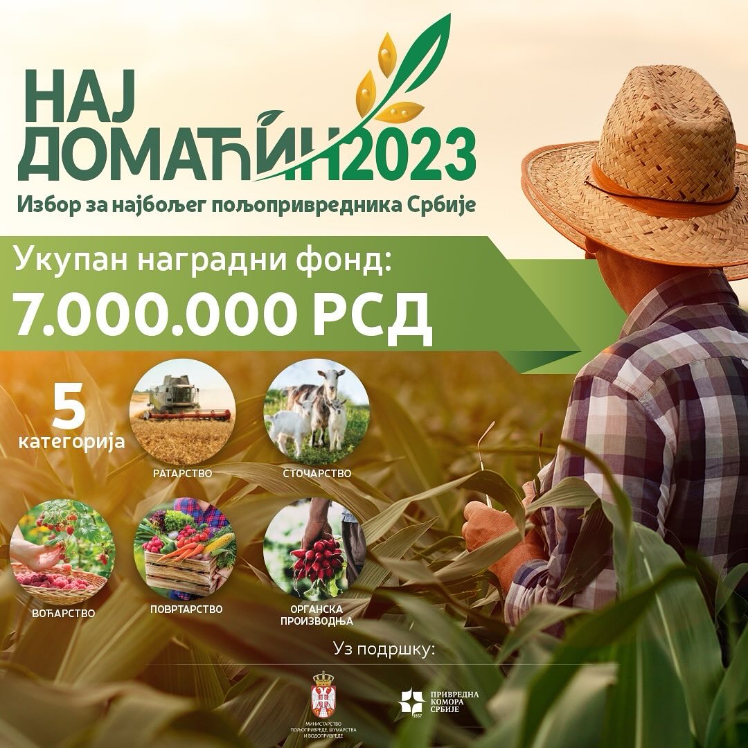 394555702 18254433073201021 3958519304759109092 N