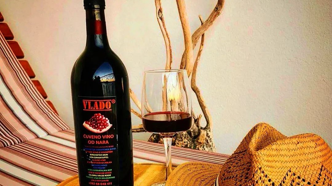 448241179 1489483034987927 5053559581306034234 N