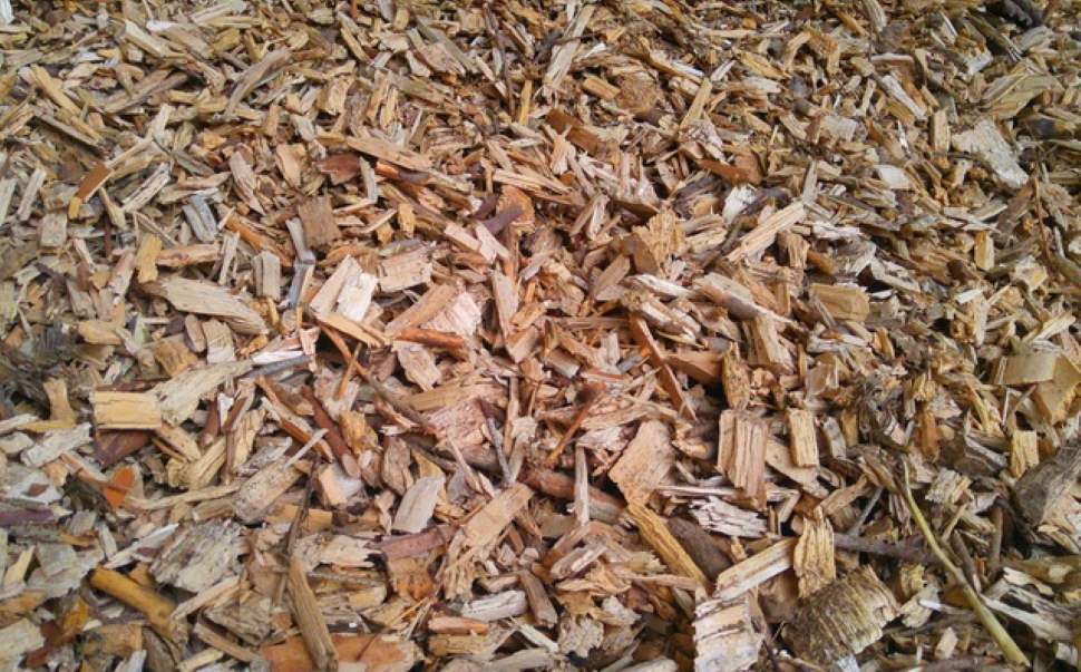 640 Some Wood Chips