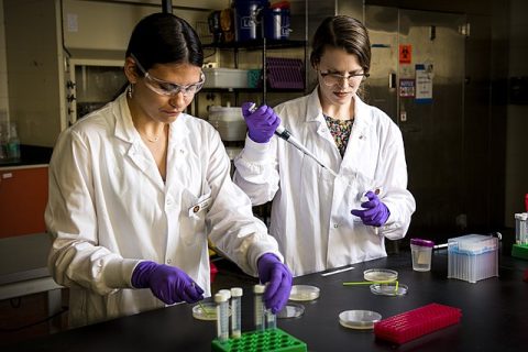 Acuff Food Safety Lab 52030475970