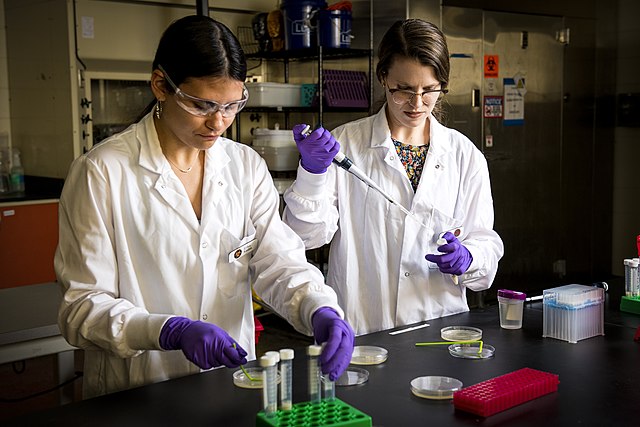 Acuff Food Safety Lab 52030475970