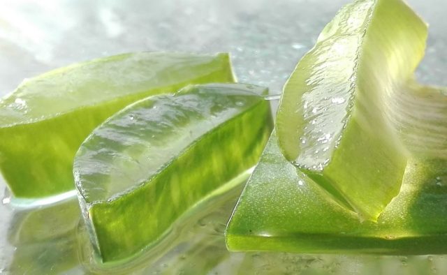 Aloe Vera Pixabay Mozo190