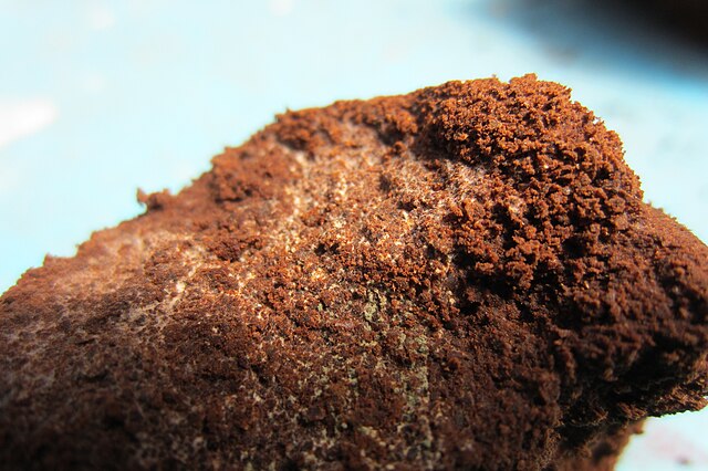 Coffee Grounds Mold