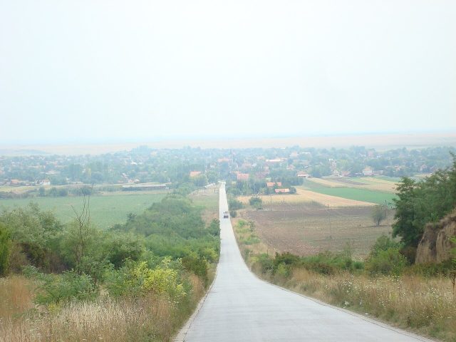 Krčedin Panorama