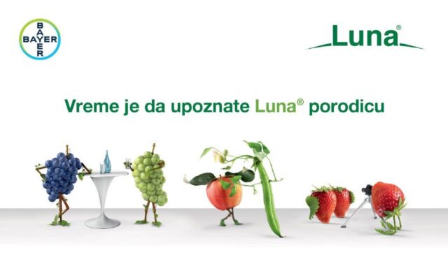 Luna V01