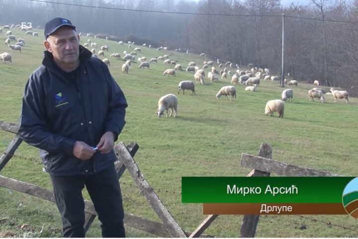 Mirko Arsić, Drlupe