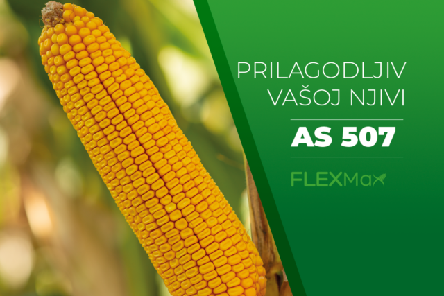 News 4 As507 Odobreno
