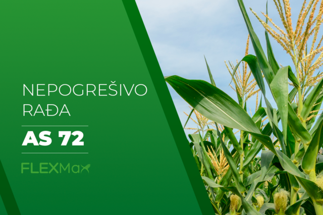 News 6 As72