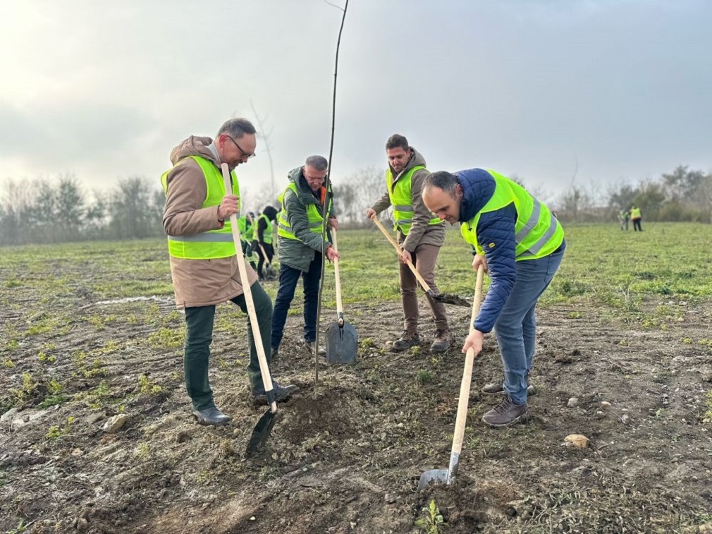 Opstina Kula Bogatija Za Gotovo Pet Hiljada Novih Sadnica 4