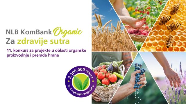 Organic Konkurs #11