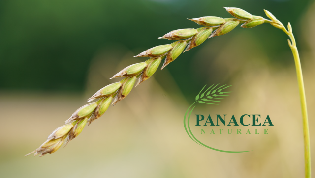 Panacea Naturale 01 01