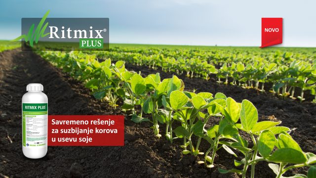 Ritmix Plus