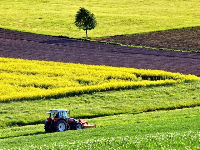 Agriculture 1619437 1280