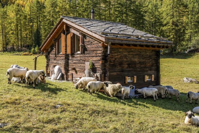 Alpine Hut 4552818 1280