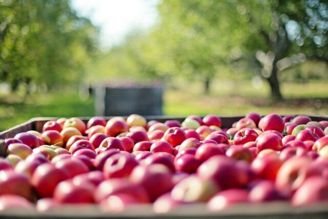 Apples 1004886 1280