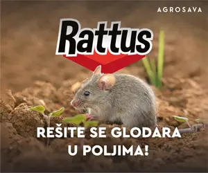 Boljazemlja Banner Ratus