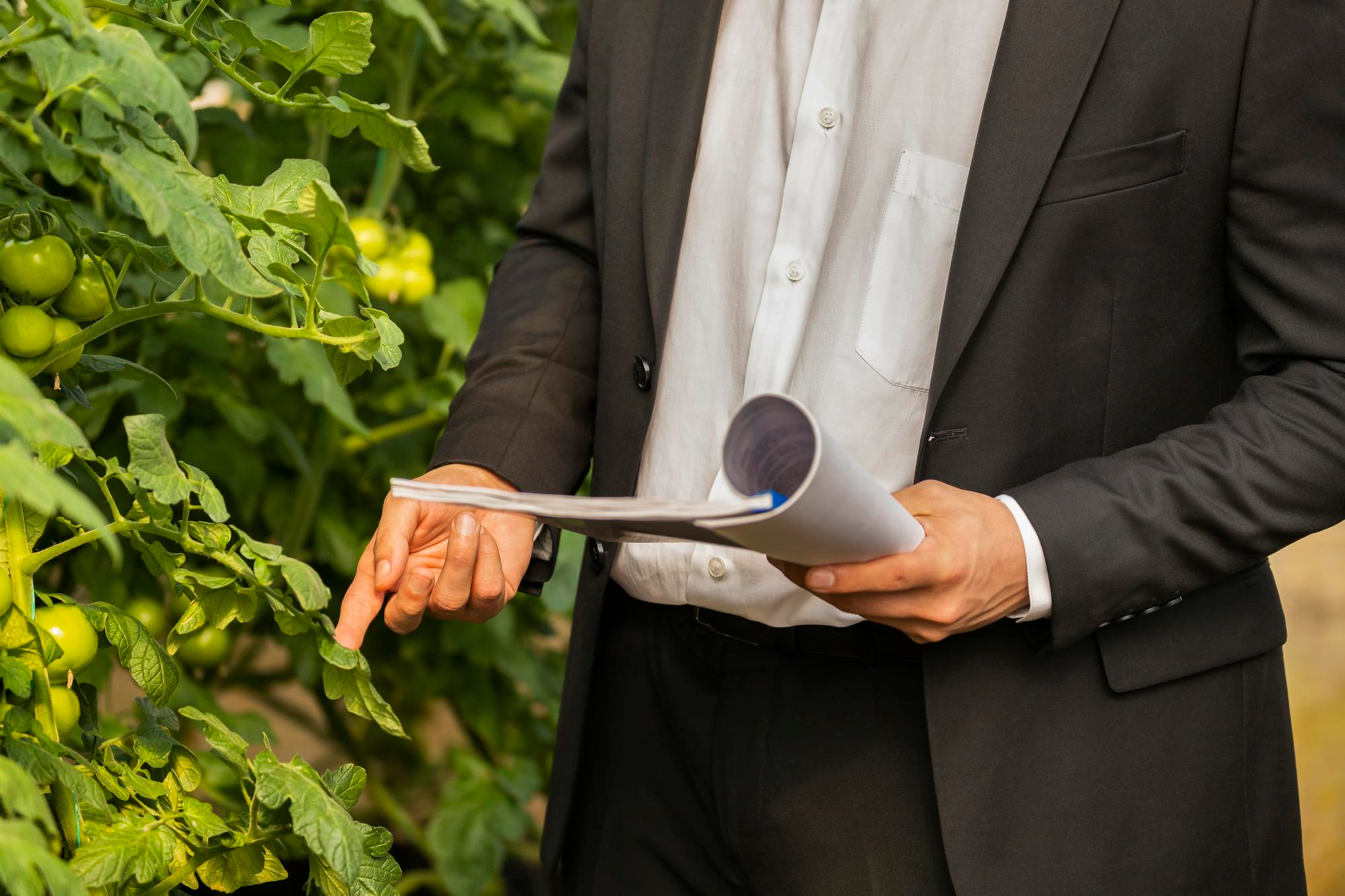 Businessman Holding Notebook Standing Greenhouse