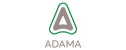 Bz Logo Showcase Adama