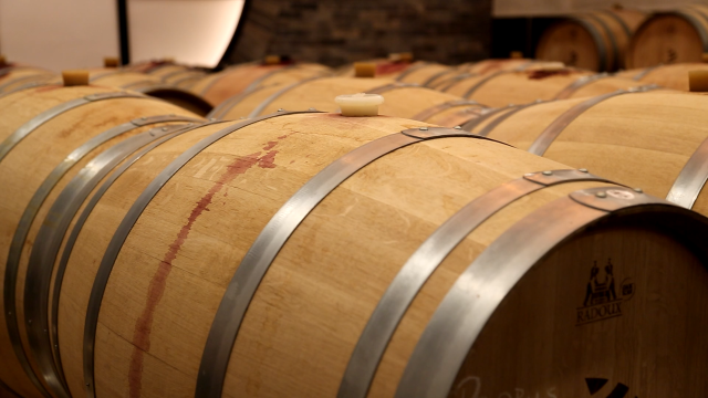 Bz 1212 Vinarija