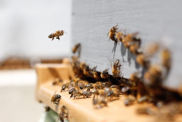 Damien Tupinier Ofevgvfr6iu Unsplash
