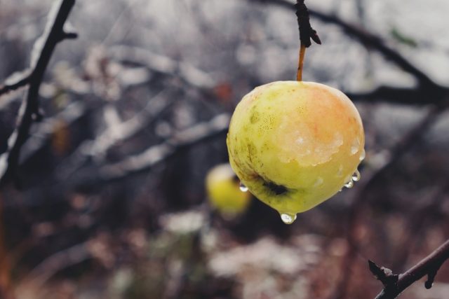 Doriana Dream Qsfbojowxje Unsplash