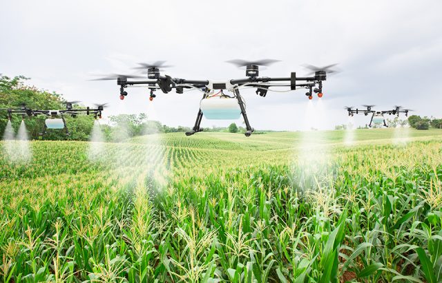 Dron