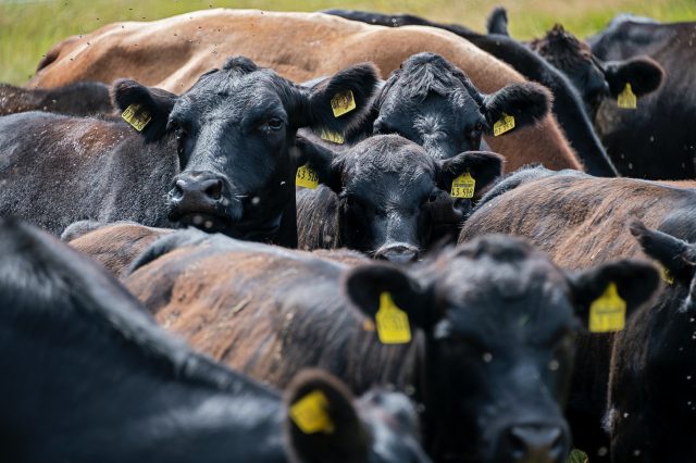 Etienne Girardet Ybplelmdjai Unsplash (2)
