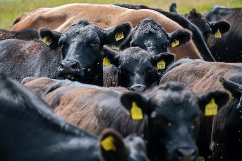 Etienne Girardet Ybplelmdjai Unsplash