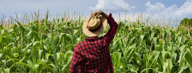 Farmer 1