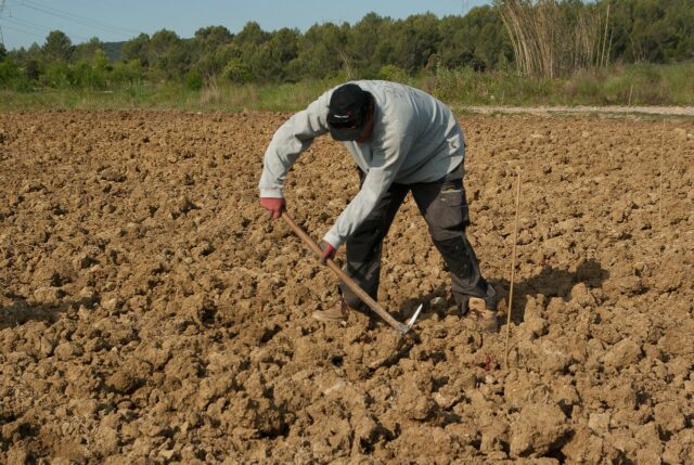 Farmer 1367104 1280