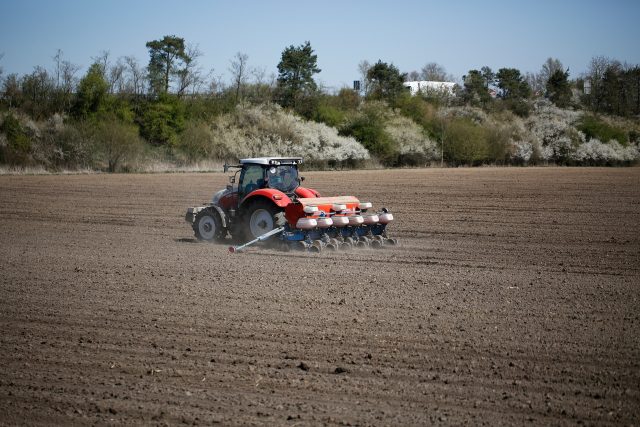 Farmer 5041162 1920