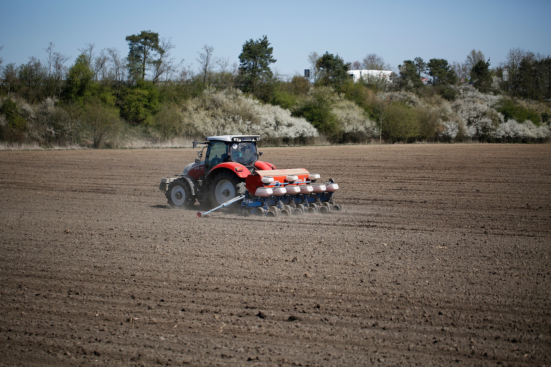 Farmer 5041162 1920