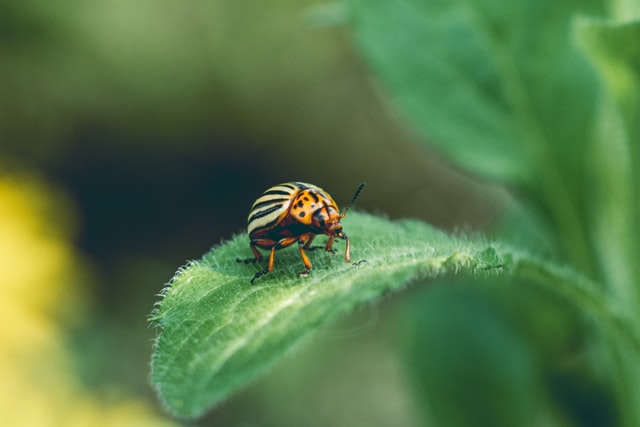 Gidlark Xbbwbu7bpvw Unsplash