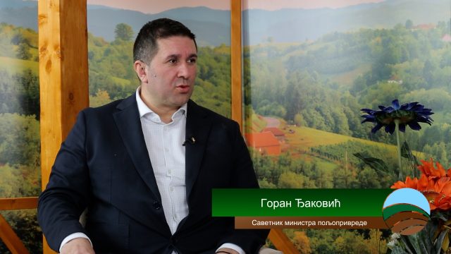 Gost Goran Djakovic Thumb (1)