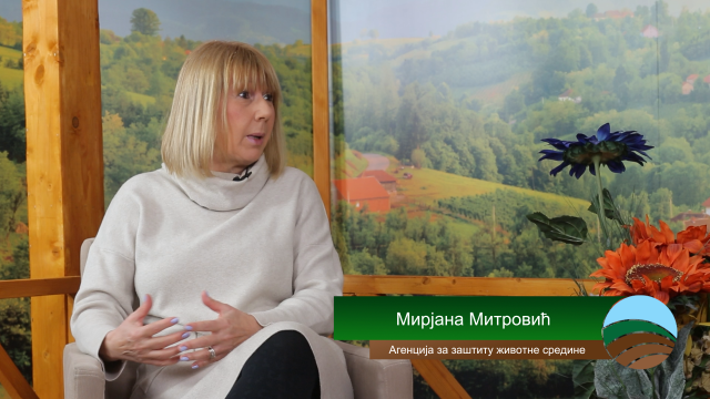 Gost Mirjana Mitrovic Thumb