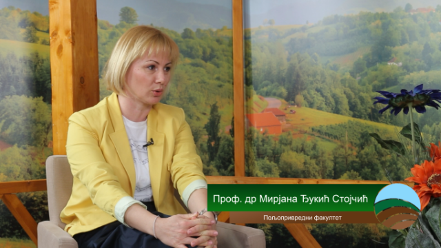 Gost Prof Dr Mirjana Djukic Stojcic Yt 1