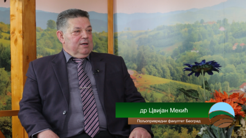 Gostovanje Cvijan Mekic 1