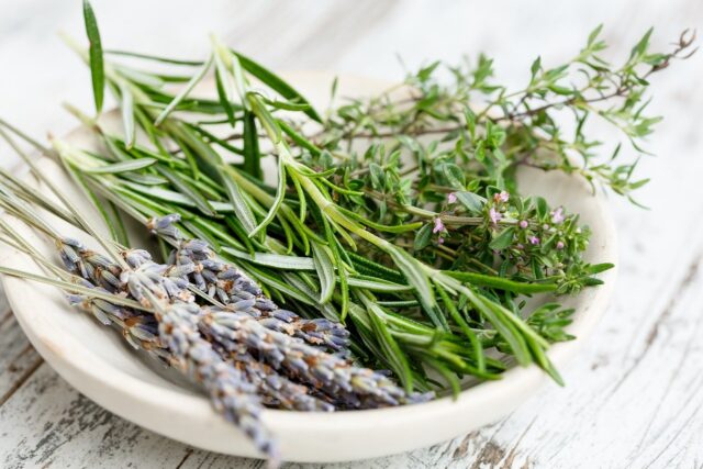 Herbs 2523119 1280