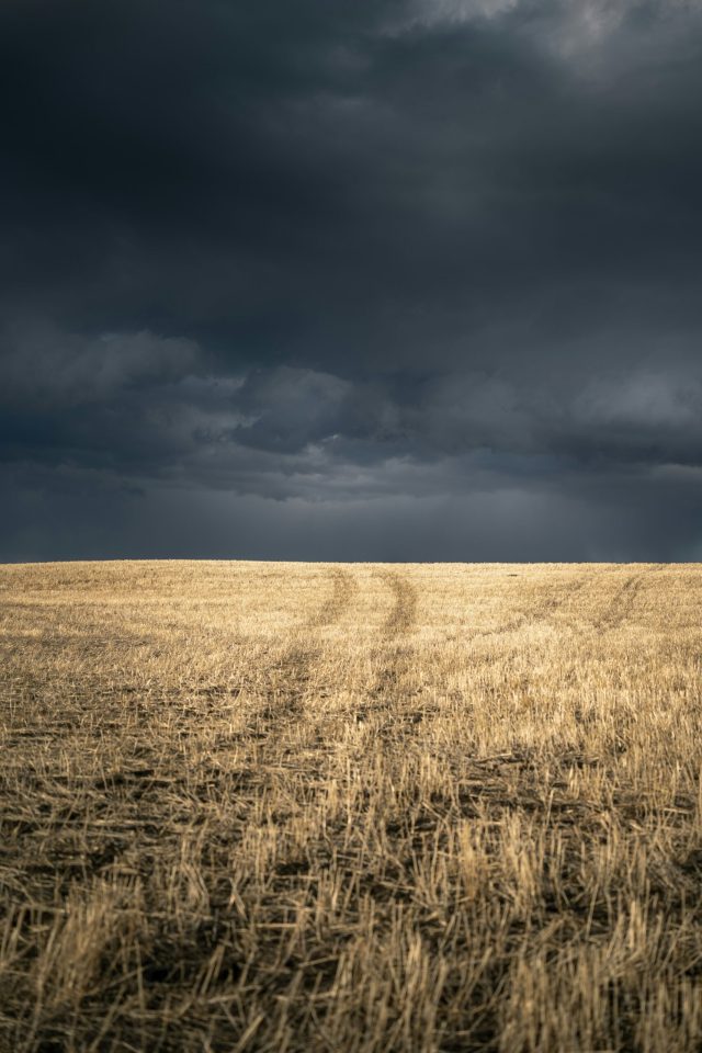 Igor Kyryliuk Tetiana Kravchenko B6damf9vzca Unsplash