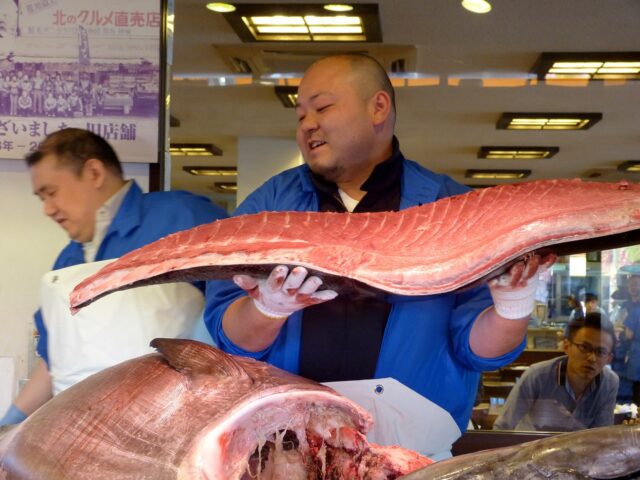 Japanese 357235 1280