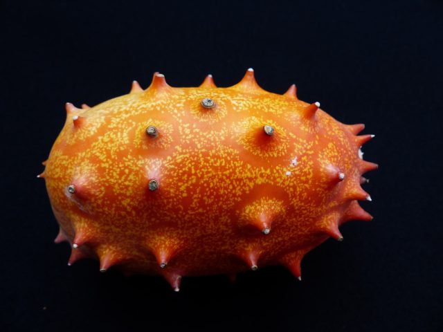 Kiwano 101499 1920