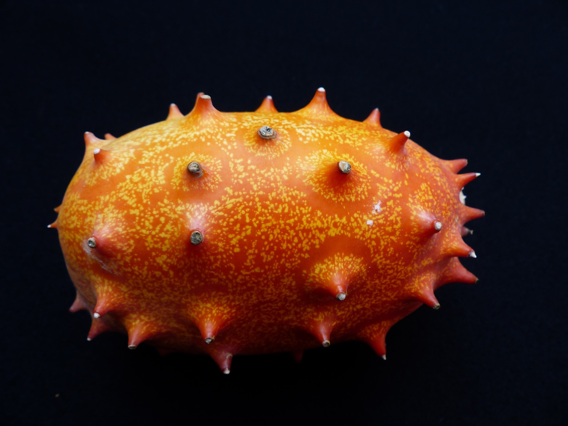 Kiwano 101499 1920