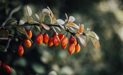 Lubos Felcik Kijzzstk1si Unsplash