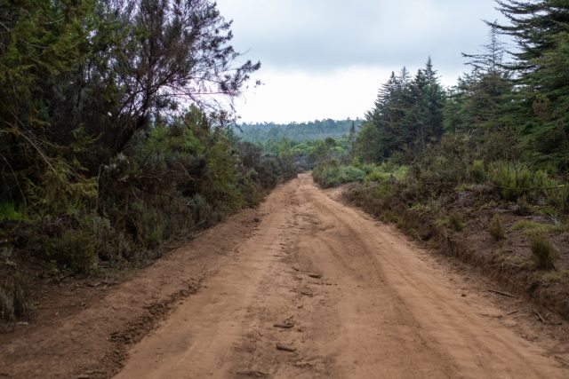 Muddy Road Going Through Trees Blue Sky Mount Kenya