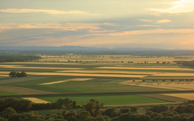 Vojvodina