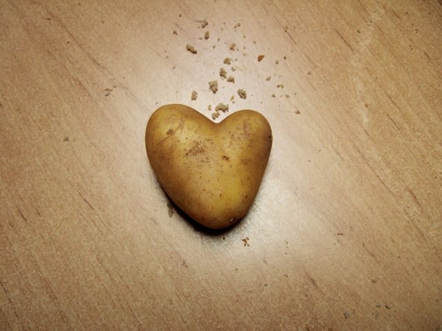 Potato 203899 1280