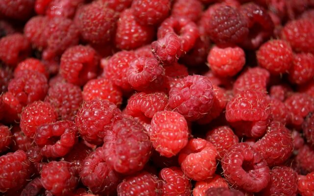 Maline