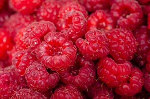 Raspberries 7313700 640